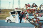 Свадьба карета 5